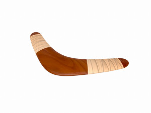 boomerang 3Dモデル