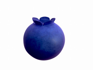 blueberry 3D Model