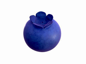 blueberry 3Dモデル