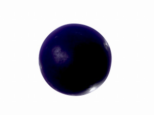 blueberry 3Dモデル