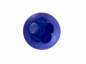 blueberry 3Dモデル