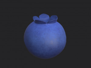 blueberry 3Dモデル