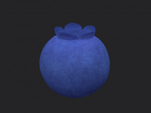 blueberry 3Dモデル