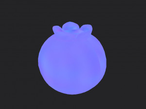 blueberry 3Dモデル