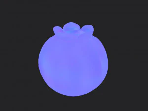 blueberry 3D Model