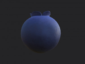 blueberry 3Dモデル