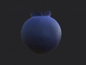 blueberry 3D Model