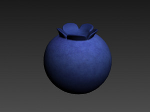blueberry 3Dモデル