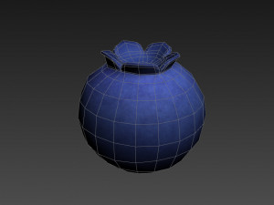 blueberry 3Dモデル