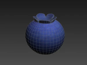 blueberry 3D Model