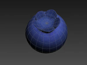 blueberry 3D Model