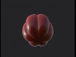 bell pepper 3D Model