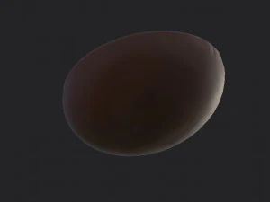 coffee bean 3D Model