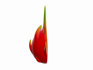 pitaya 3D मॉडल