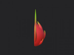 pitaya 3D मॉडल