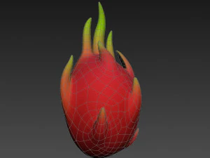 pitaya 3D Model