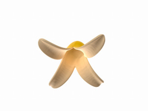 banana peel 3D 模型