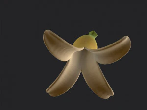 banana peel 3D Model
