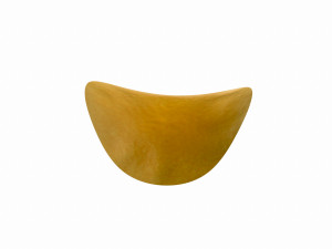 potato chip 3D 모델