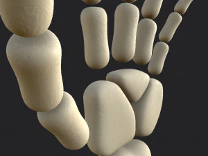 arm bone 3D Model
