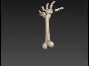 arm bone 3D Model