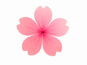 sakura 3D Model