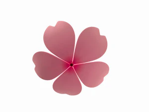 sakura 3D Model