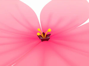 sakura 3D Model