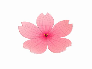 sakura 3D Model