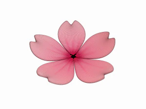 sakura 3D Model