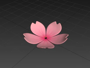 sakura 3D Model