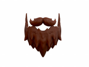 beard Modèle 3D