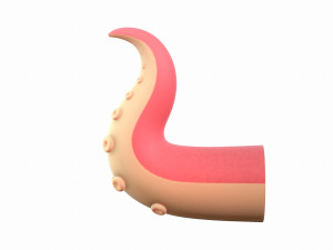 octopus tentacle Modello 3D