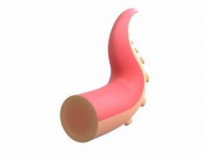 octopus tentacle Modello 3D