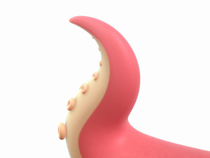 octopus tentacle Modello 3D