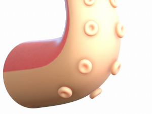 octopus tentacle Modello 3D