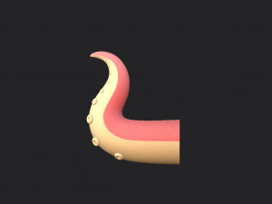 octopus tentacle Modello 3D