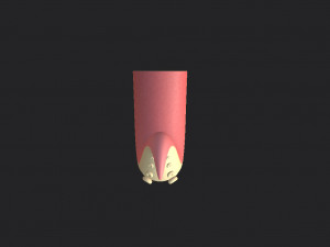octopus tentacle Modello 3D