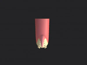 octopus tentacle 3D Model
