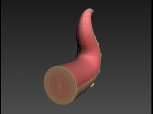 octopus tentacle Modello 3D