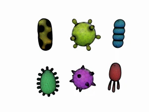 bacteria pack 3D Model