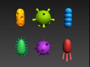 bacteria pack 3D Model