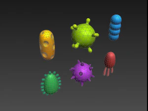bacteria pack 3D Model