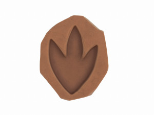 dinosaur footprint fossil Model 3D