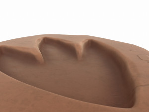 dinosaur footprint fossil Model 3D