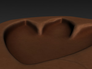 dinosaur footprint fossil Model 3D
