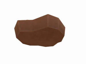 ammonite fossile Modello 3D