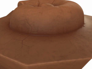 ammonite fossile Modello 3D