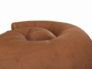 ammonite fossile Modello 3D