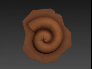ammonite fossile Modello 3D